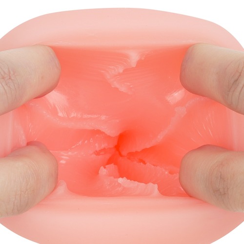 하메리칸 썸머 베케이션