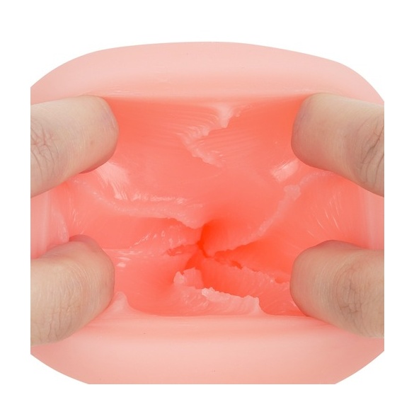 하메리칸 썸머 베케이션