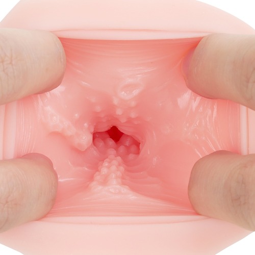 성배섬입 아포칼립스 글라스
