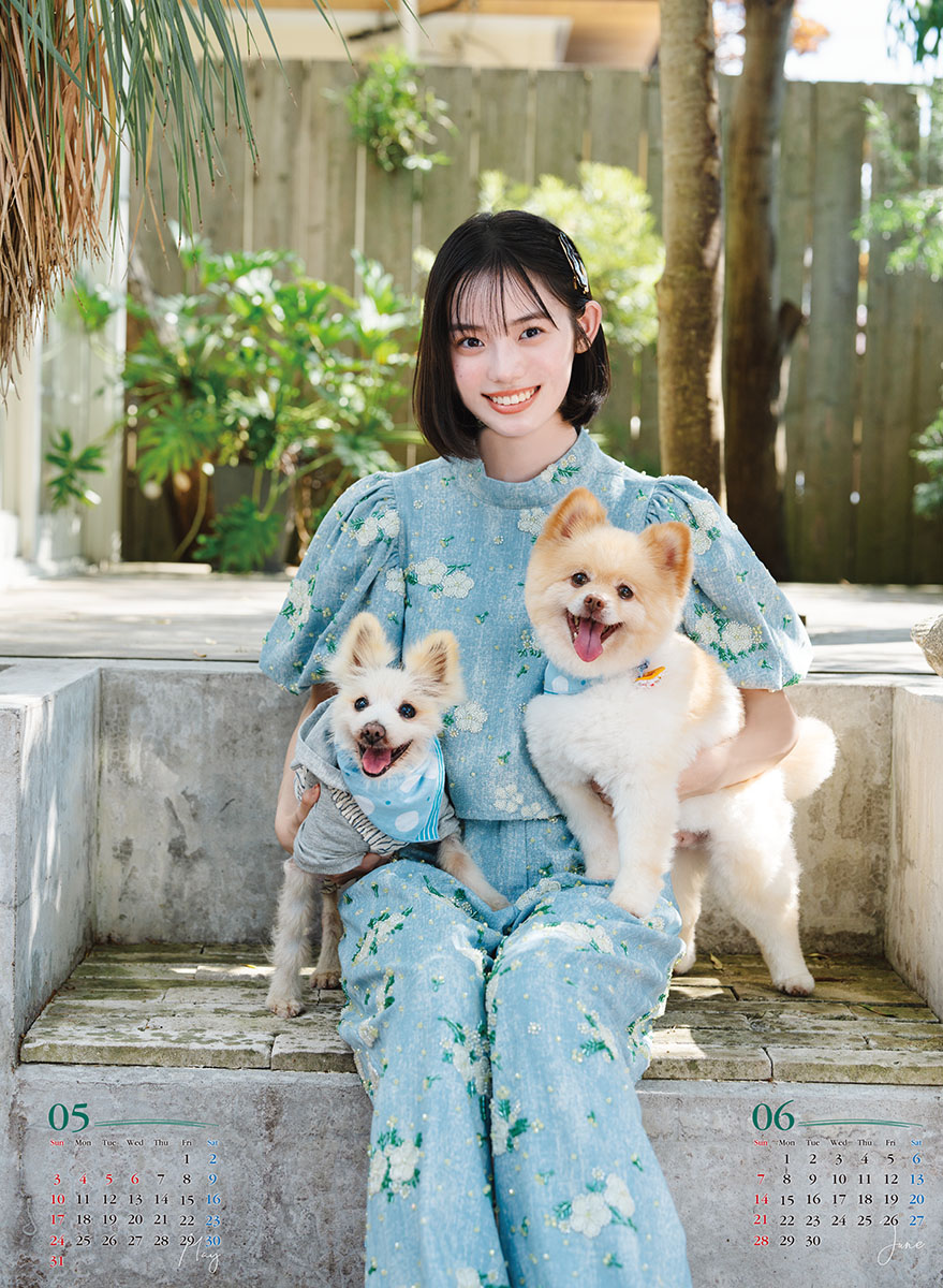 시다 코하쿠 2026년 벽걸이 달력