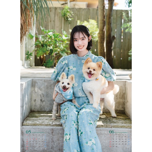 시다 코하쿠 2026년 벽걸이 달력