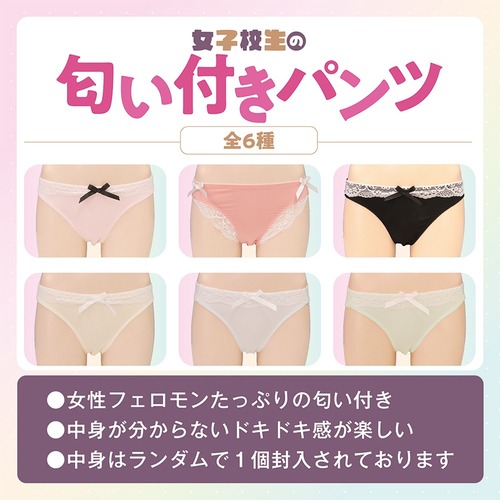 여대생이 팬티를 보여주는 박스 랜덤 1장