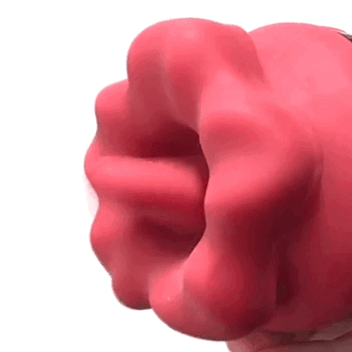 베로빗치 (일본정품)