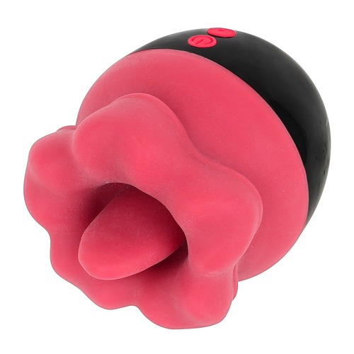 베로빗치 (일본정품)