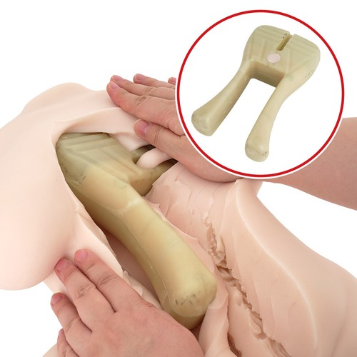 합법여친 히이라기 리아