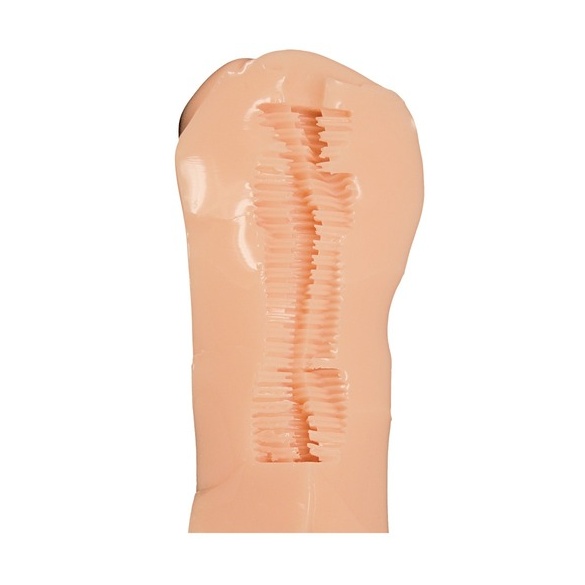 사진부에 입부했더니 미인 선배가 모델이 돼주기는커녕 유혹해옵니다만!?