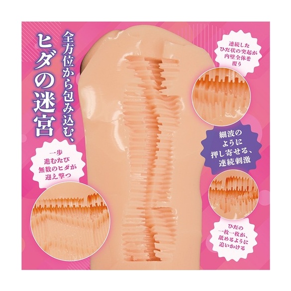 사진부에 입부했더니 미인 선배가 모델이 돼주기는커녕 유혹해옵니다만!?