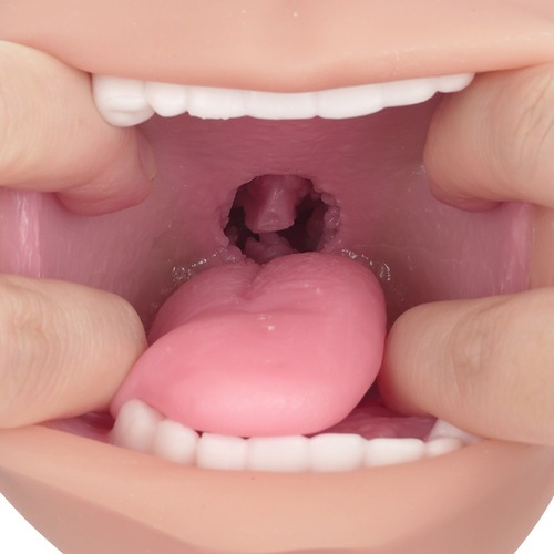 진실의 입 극상 로망 주의 아마가미 하드