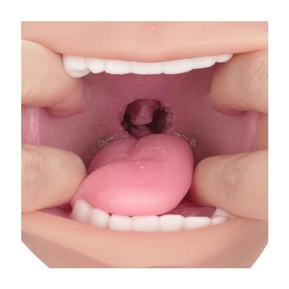 진실의 입 극상 로망 주의 아마가미 하드