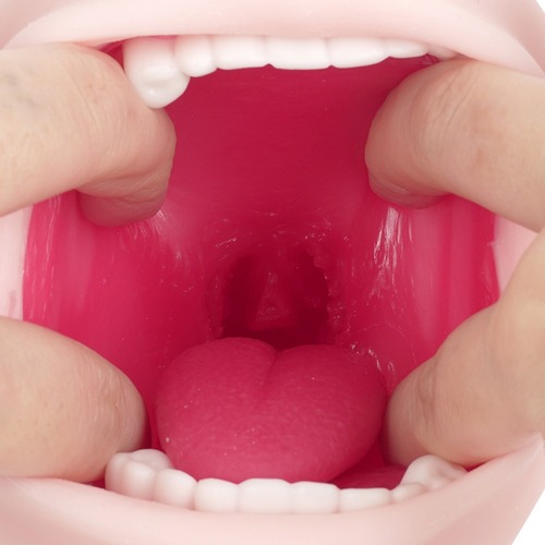 진실의 입 극상 로망 주의 아마가미 소프트