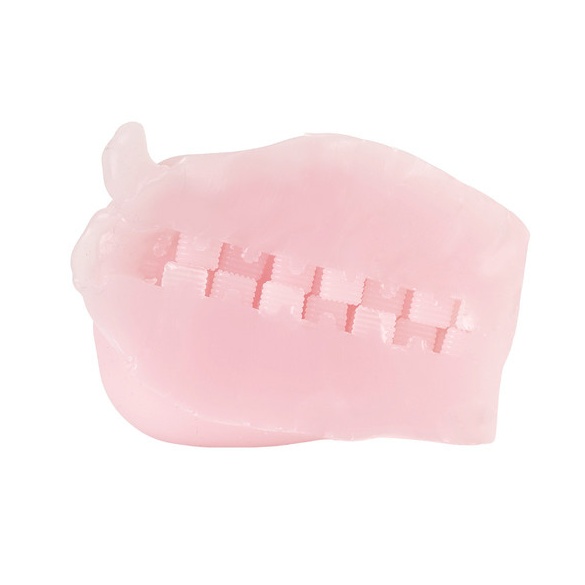 야와라카의 오나홀 데뷔