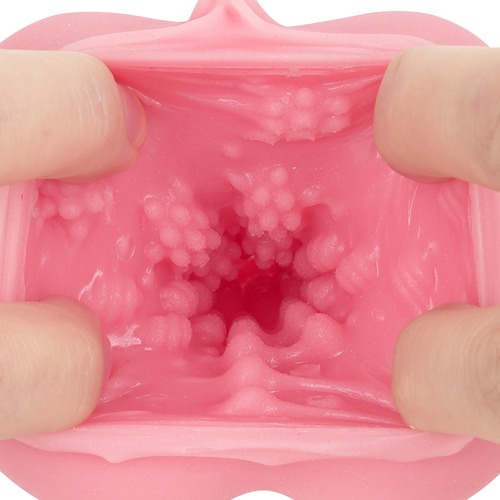 부치누키 명기 청어알 천장