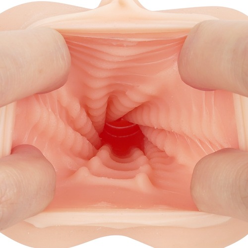 부치누키 명기 청어알 천장
