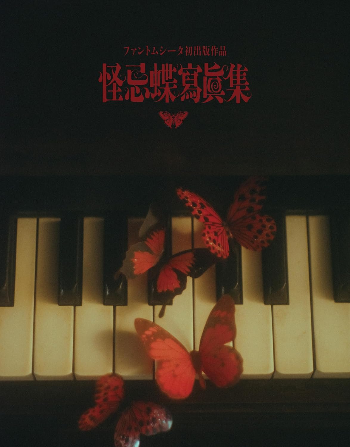 팬텀 시타 사진집 타이틀 미정