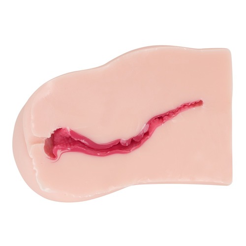 순결 에로토 매니아