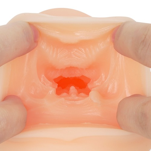 야와카노 (버스 가이드)