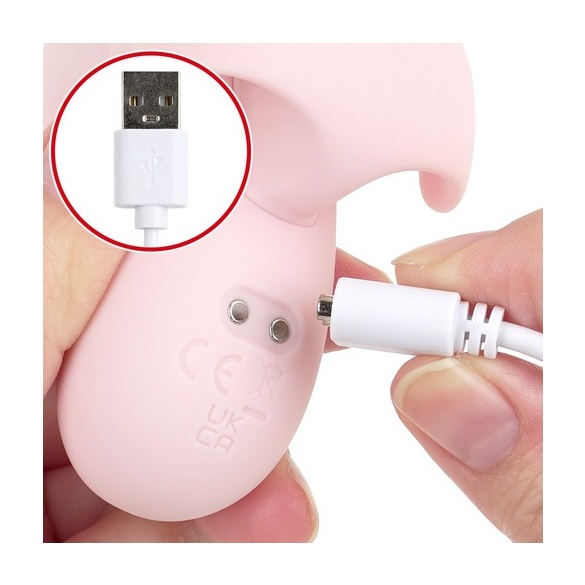 쿠리이키나 (일본정품)