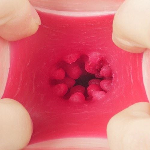 명기창생 2 타나카 레몬