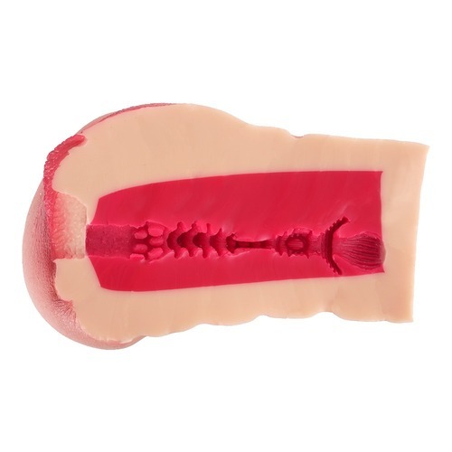 명기창생 2 타나카 레몬