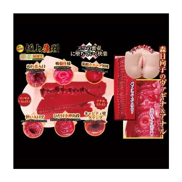 극상 생엉덩이 미니 모리 히나코