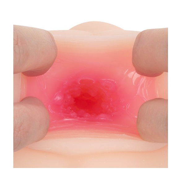 메스로리 프렌즈 사쿠라