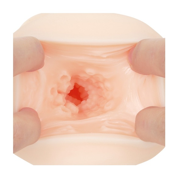 생중 포르치오 지렁이