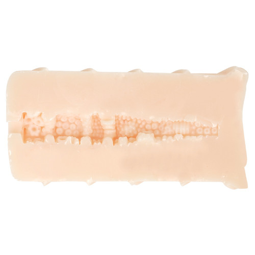 생중 포르치오 문어단지