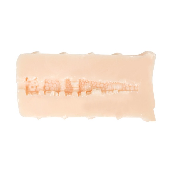 생중 포르치오 문어단지