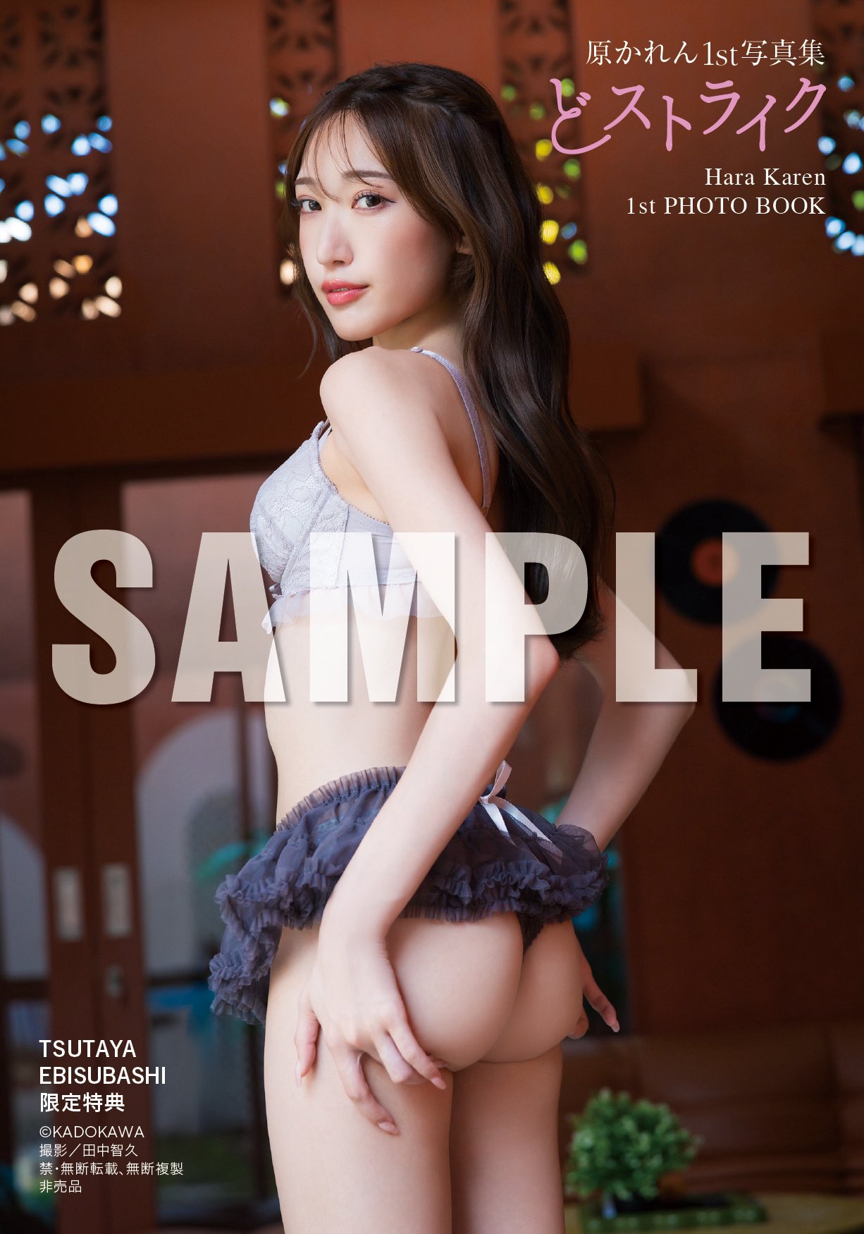 하라 카렌 1st 사진집 『완전 취향』