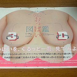 [희귀화보] 실물 크기 가슴 도감 3D - A컵부터 K컵까지 AV배우 30명 총집합