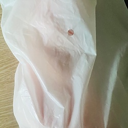 가디스 아시아 07 이은비 오리지날