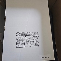 신 명기의 증명 파일 004 후지모리 리호