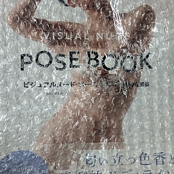 비주얼 누드 포즈북 - 오키미야 나미