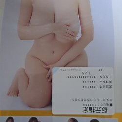 프리미엄 누드 포즈 북 키무라 아코