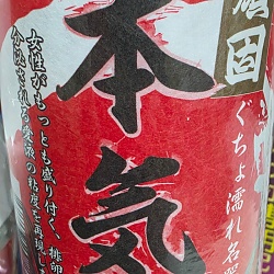혼키지루 하드 360ml