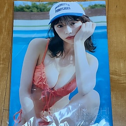 키쿠치 히나 캘린더 북 2026