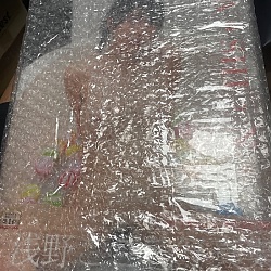 아사노 코코로 사진집 KASHIN 화신